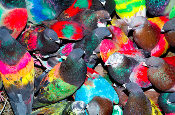 Ricardo Cases estudia el Llevant a la Sala Canal d\'Isabel II