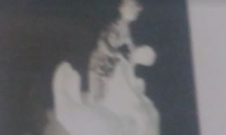 Pintura i escultura de José Martí Pino al Museu Terracota