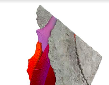 Art en moviment a Plastic Murs