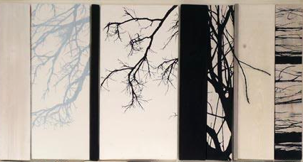 La Galeria Dionís Bennàssar exposa el treball de Jorge Cabral