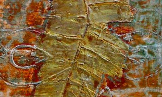 Les vegetacions de Darío Basso invaeixen la galeria d\'art Luisa Pita