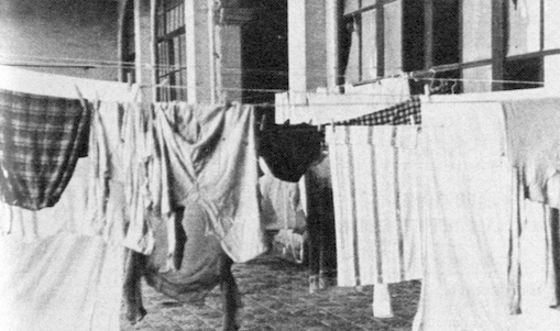 Intervenció de Domènec al Pavelló Mies van der Rohe