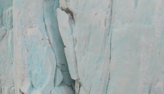 Mariele Neudecker a la galeria Pedro Cera