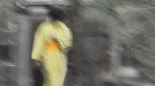 La Galeria Contrast prorroga l\'exposició de Robert Berlin