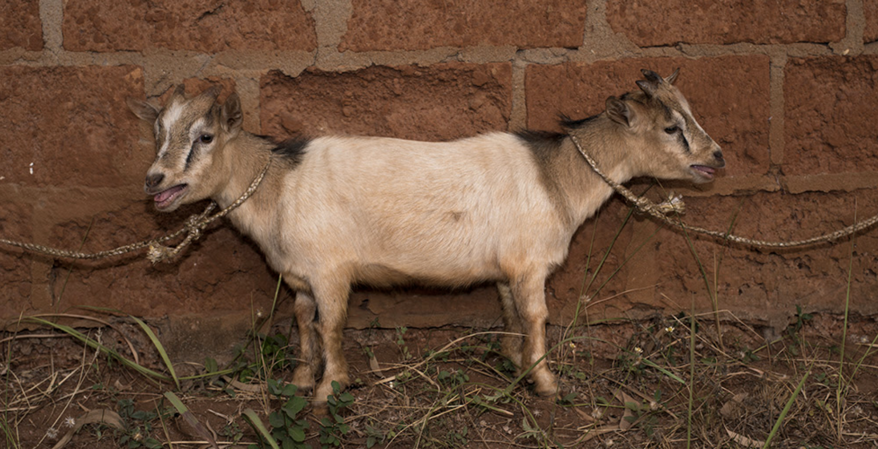 V edició d\'Art Photo Bcn dóna el tret de sortida