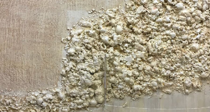 Pilar Peláez a Pictograma