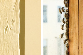 Pol Gorezje i Andrea Wilmsen a Espronceda