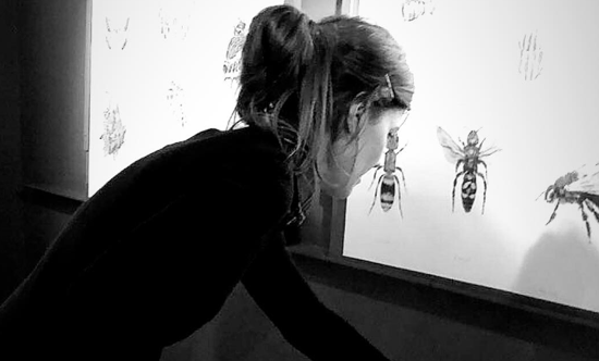 Originals del llibre \