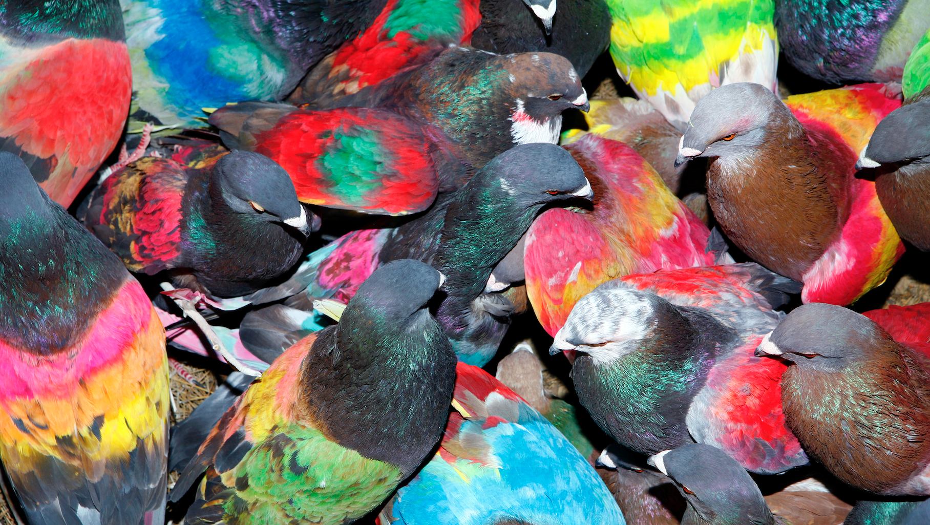 Vintè aniversari de PhotoEspaña 2018