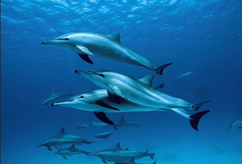 Setmana Santa al Museu de Ciències Naturals amb els més petits