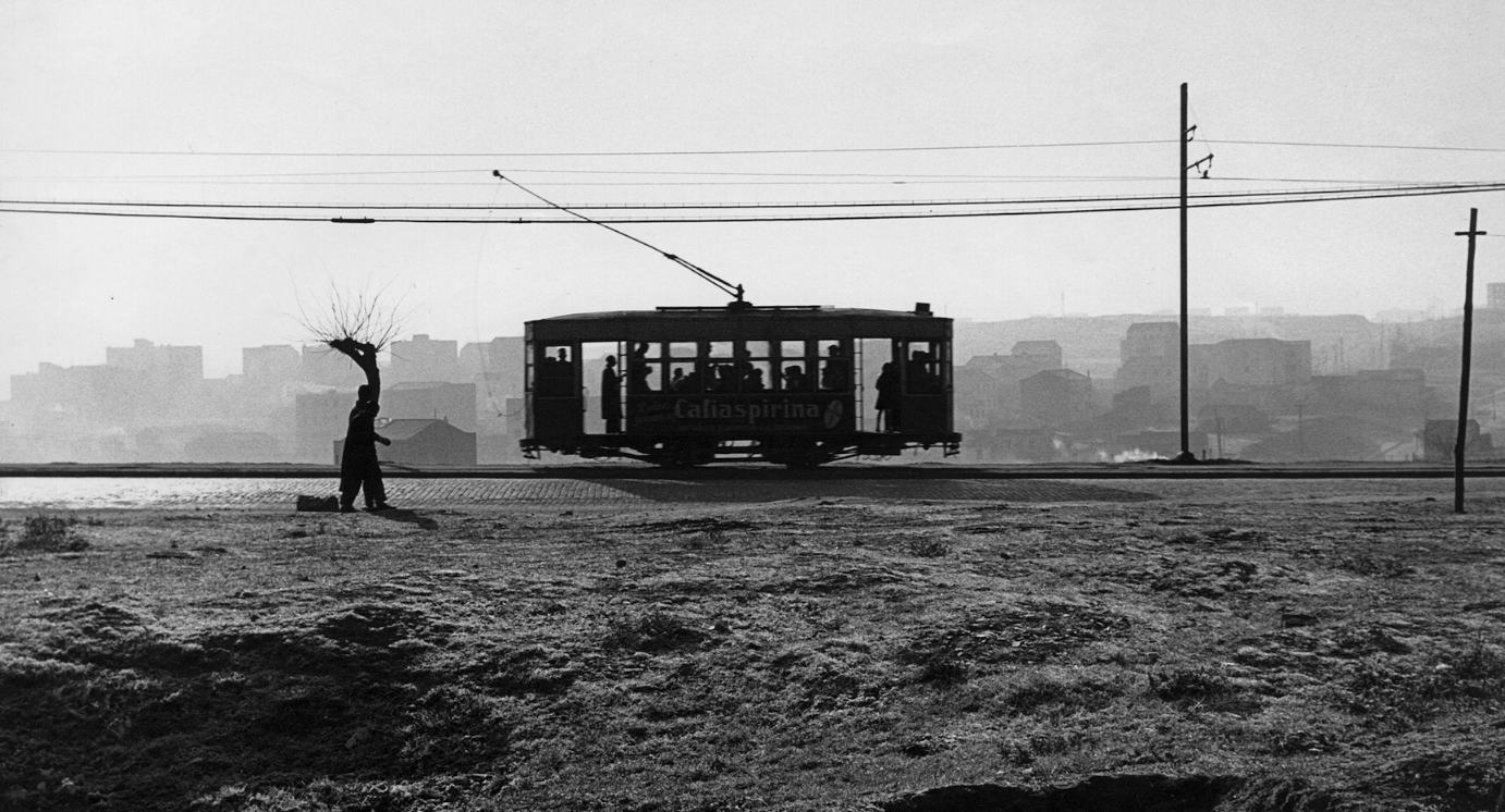 Foto Colectania mostra les millors imatges de Francisco Gómez
