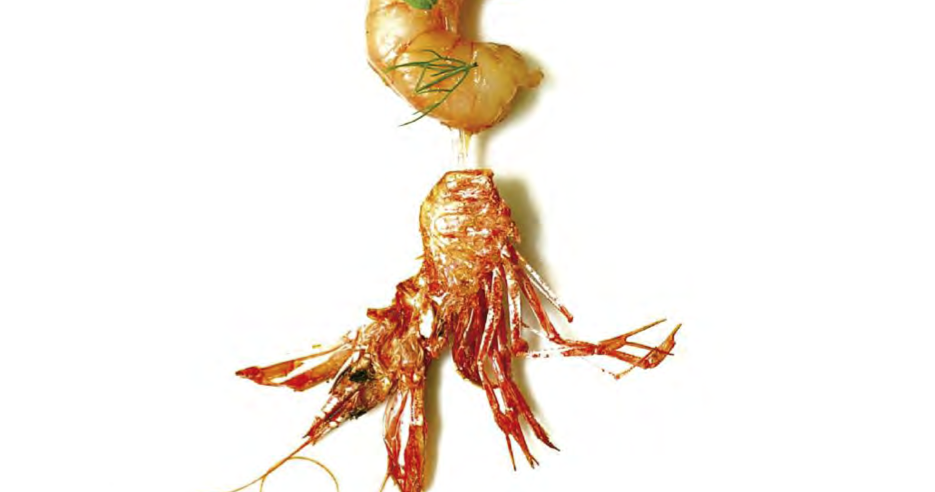 Luki Huber publica un llibre sobre el Bulli