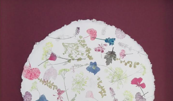 L\'homenatge a les trementinaires de l\'Escola d\'Art de Manresa al CACIS