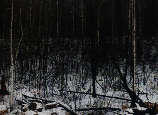 Grisart i Panoràmic presenten \