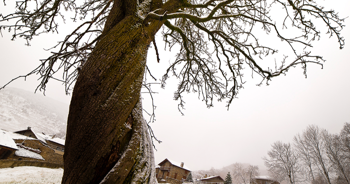 Adriana Olsina exposa \