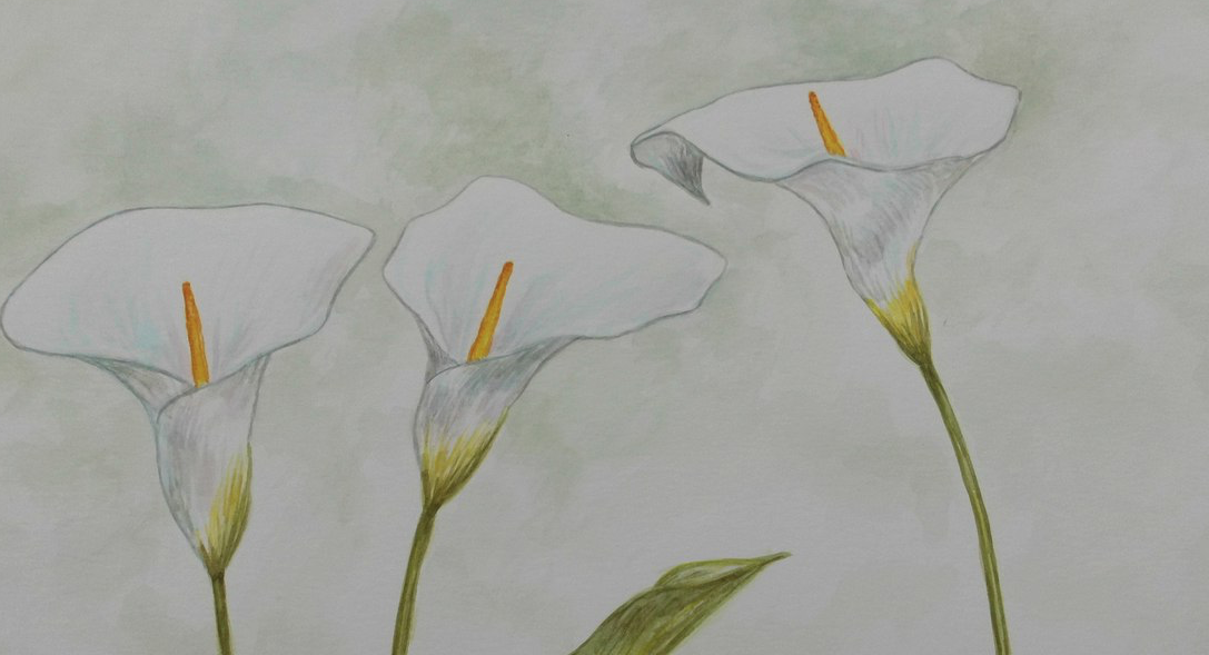 Nova edició del Saló de Primavera a l\'Espai 120