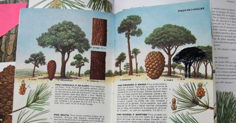 Mariona Moncunill presenta \