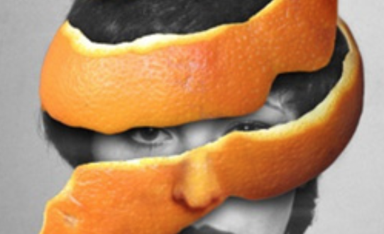 El Museu de Ciències Naturals presenta \