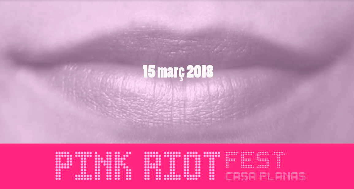 Pink Riot Festival, rebel·lió contra les distincions de gènere