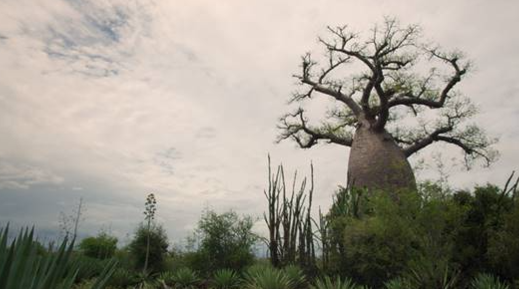 Activitats de La Casa Encendida al maig