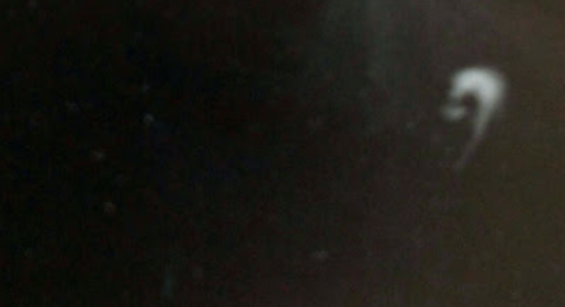 “Enganar a tristeza”, exposició de Paulo Cacais a l’Estudi Tigomigo