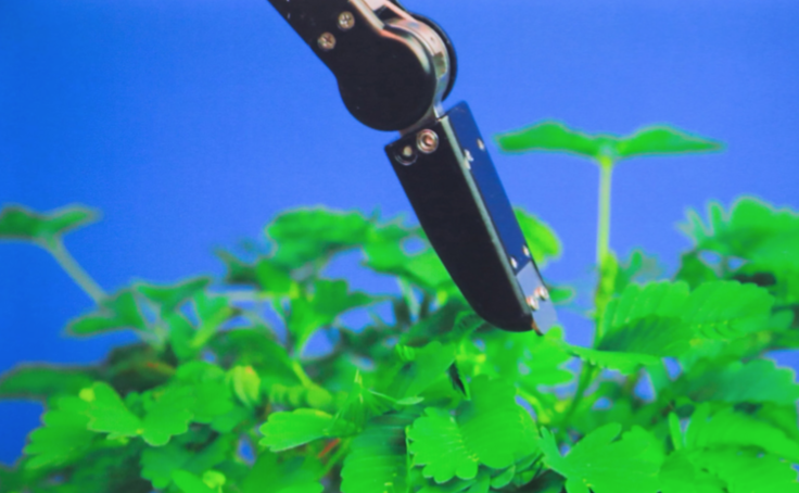 El CA2M prepara un programa especial d\'activitats amb motiu d\'ArcoMadrid 2018