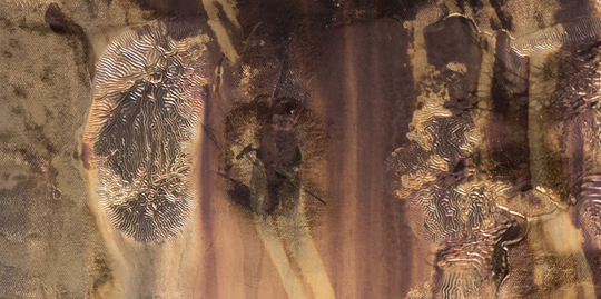 Michael Joo, l\'aposta de la Galeria Carles Taché per a ArcoMadrid 2018