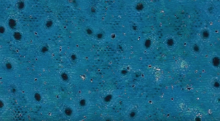 La Galeria Odalys presenta \