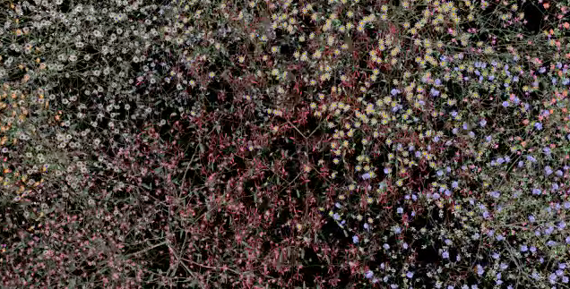 L\'artista pionera d\'Art Digital, Jennifer Steinkamp a Design Festival