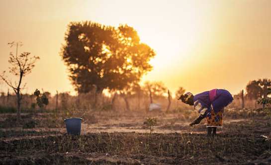 Daniel Casanovas guanya la setzena convocatòria de Joves Fotògraf(e)s