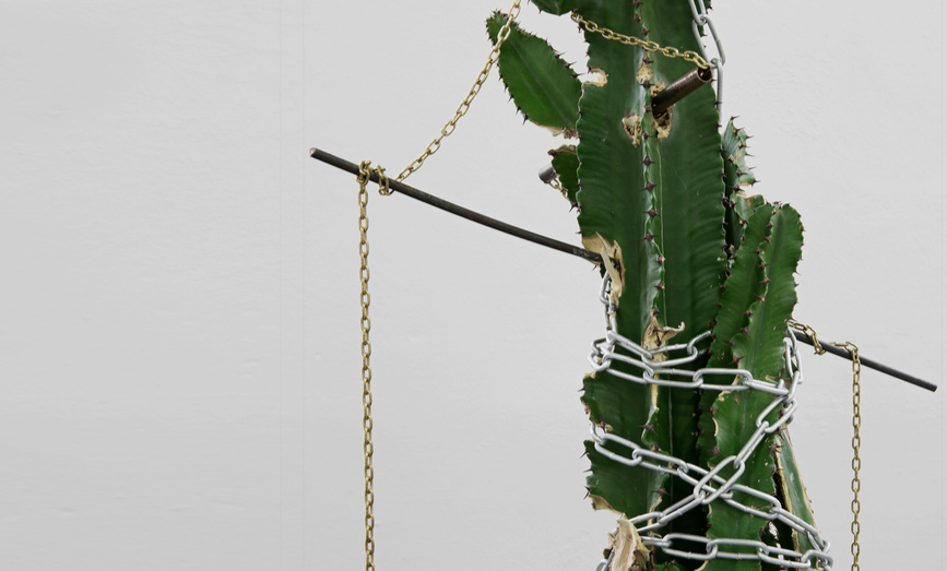 Projecte de Diana Guijarro al Casal Solleric