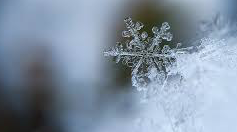 Primer Saló d\'Hivern a Aran, galeria d\'art