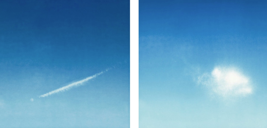 La Galeria La Caja Negra a la fira Zona Maco