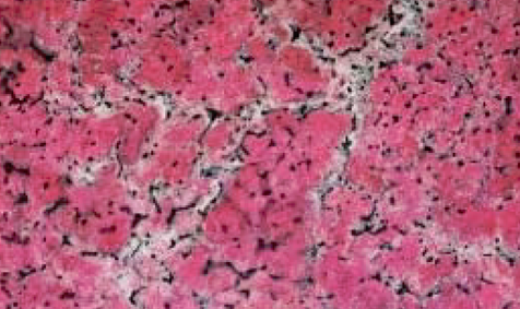 Amparo Mellado a Cruz Bajo Art Contemporani