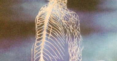 Carla Giró a la Fundació Valvi