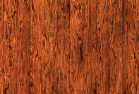 Jorge Penadés a Machado-Muñoz