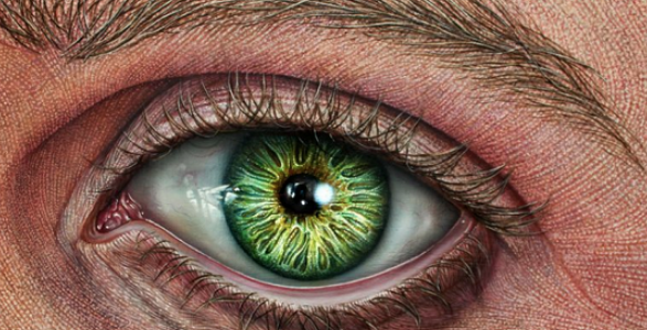 II Convocatoria stART Up