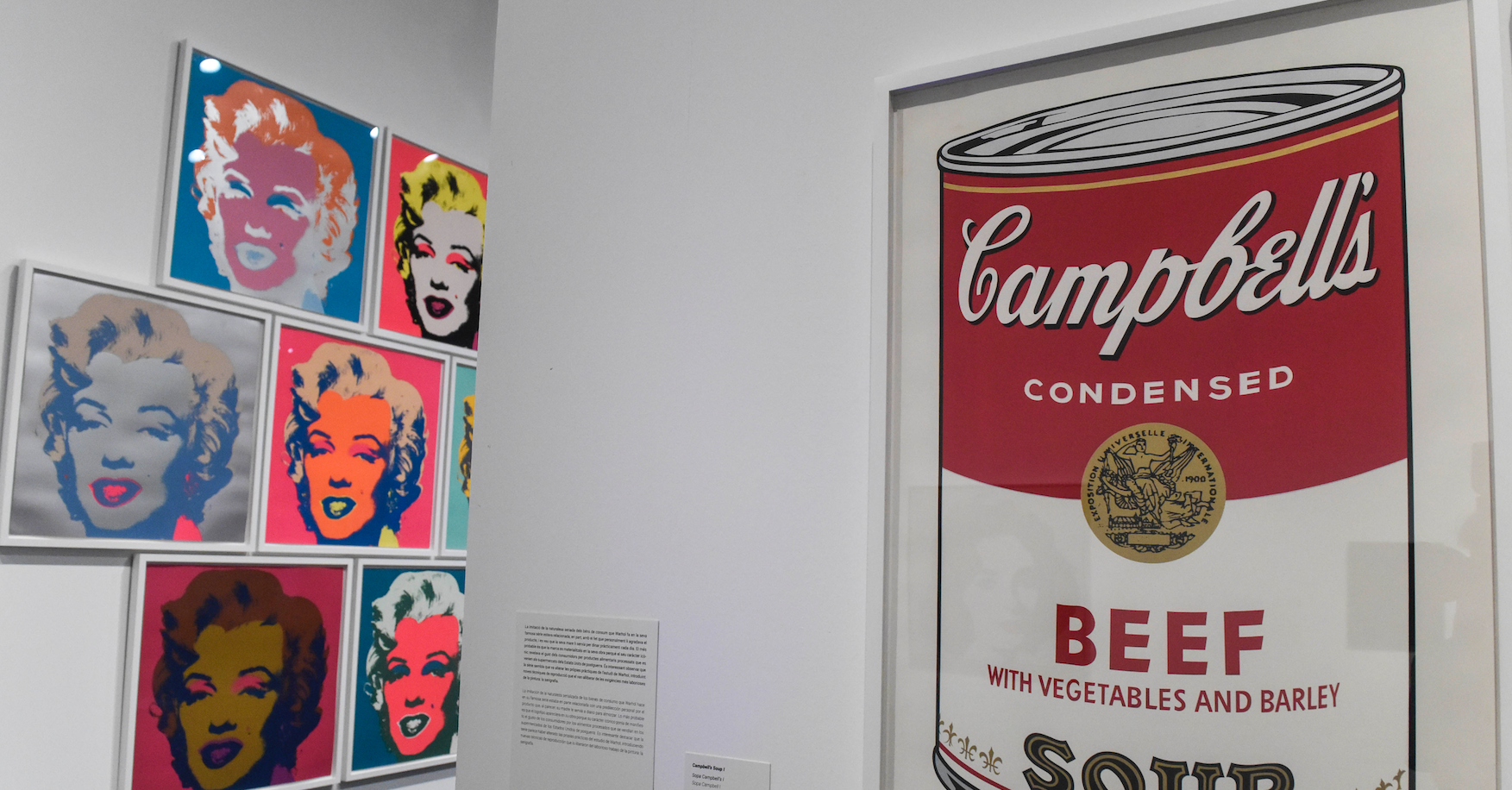 CaixaForum: Del nen Warhola al personatge Warhol