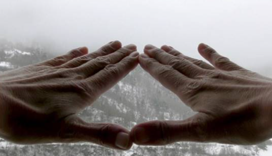 FLUX 2017. Festival de vídeo d’autor