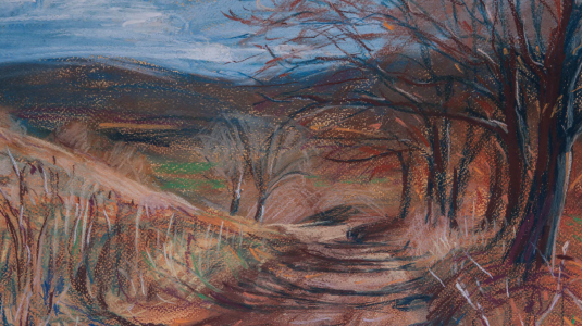 Roser Bosch Mestres presenta \