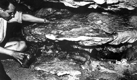 El Fluvià al Darder i \