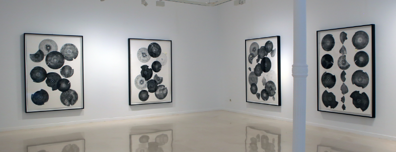 Carlos Amorales a la Galeria Pelaires