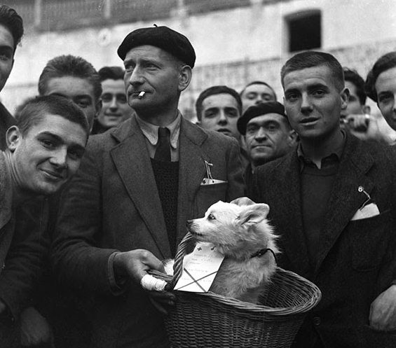 Jacques Léonard a la Galeria Marc Domènech: Imatges de l\'exili