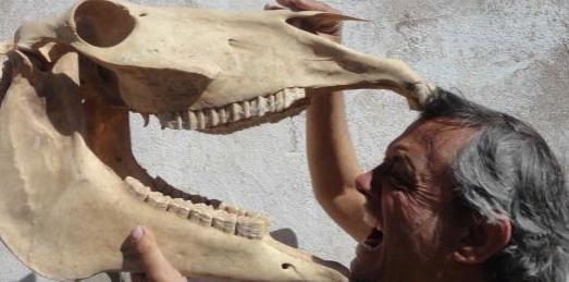 Vicent Melià s\'incorpora al col·lectiu d\'artistes de l\'espai cultural de La Bohemia