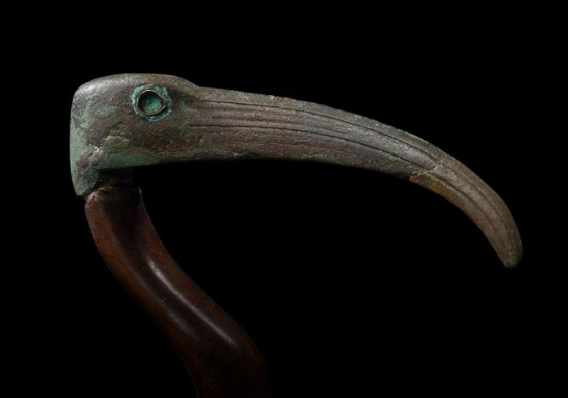 El Museu Egipci prorroga “Els Animals Sagrats” fins a finals d’any