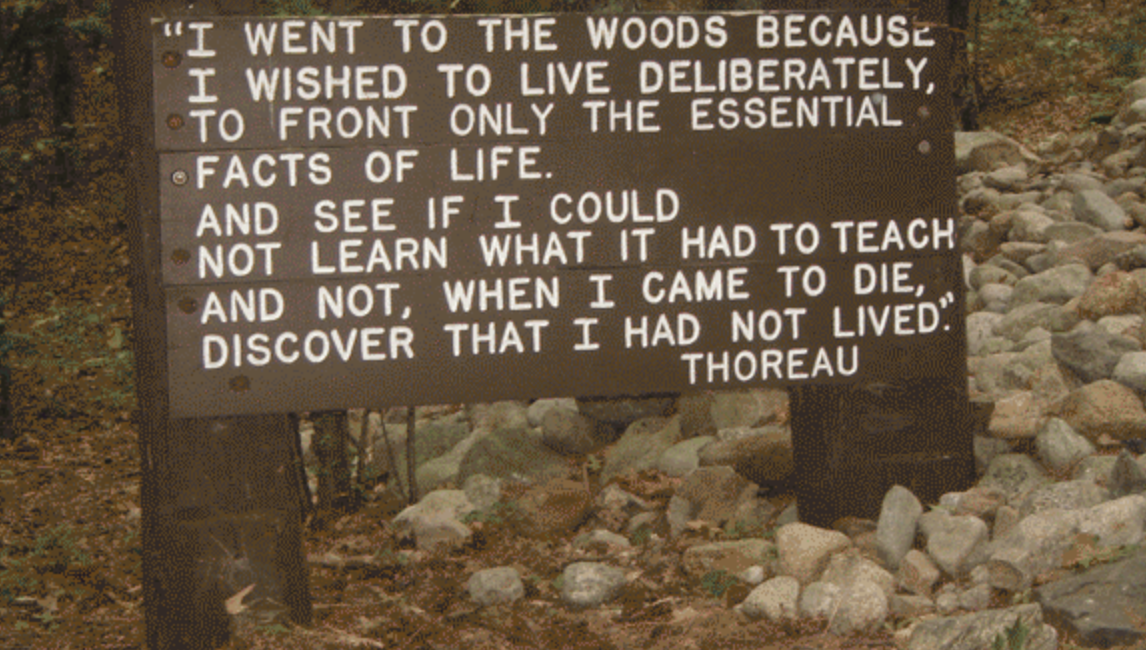 Projectes guanyadors de les Beques Art i Natura a la Creació 2017