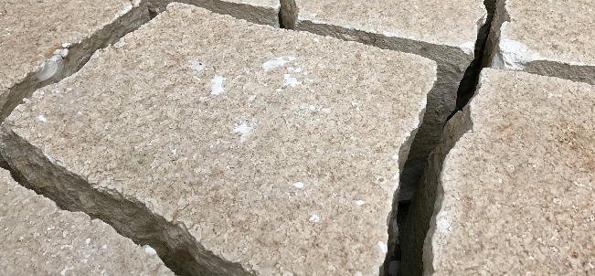 La Galeria Carles Taché presenta el treball de Michael Joo