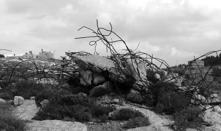 La identitat dels palestins al Bòlit