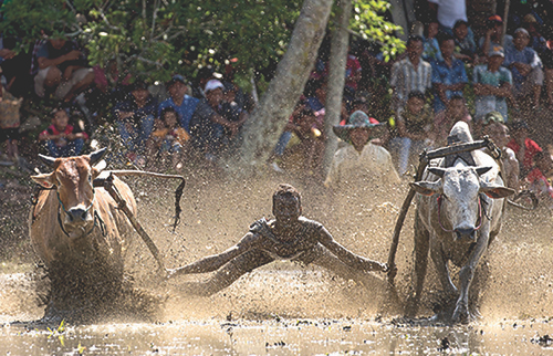 L\'exposició dels Premis Pollux a la Galeria Valid Foto