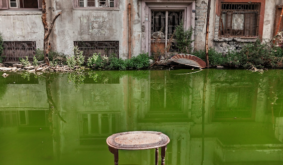 Carole Alfarah al Centre Cultural La Casa Elizalde